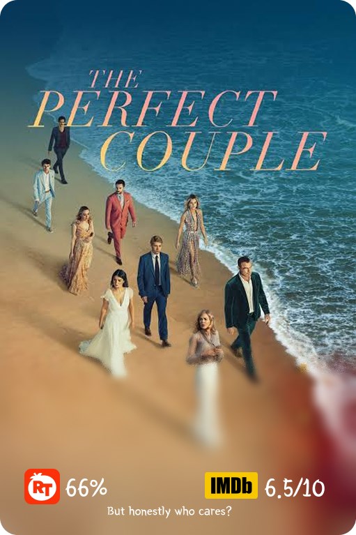 معرفی سریال The perfect couple
